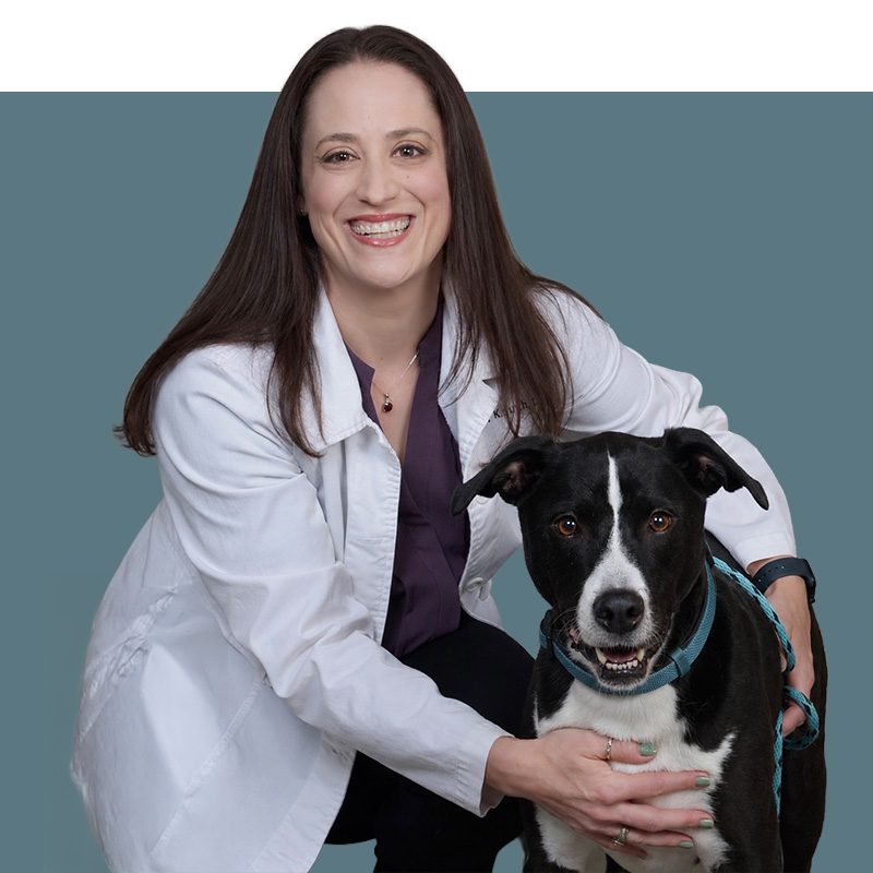 Location Doctor Image