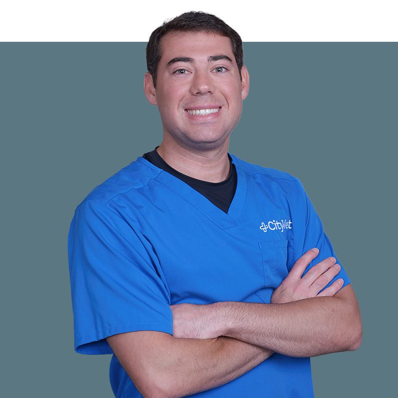 Location Doctor Image