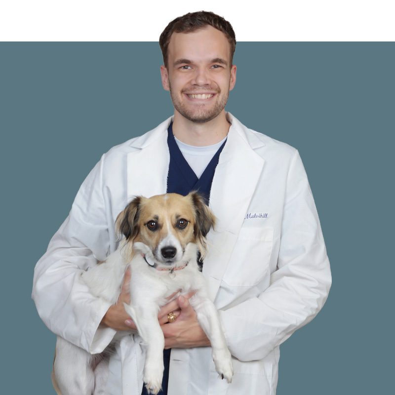 Location Doctor Image