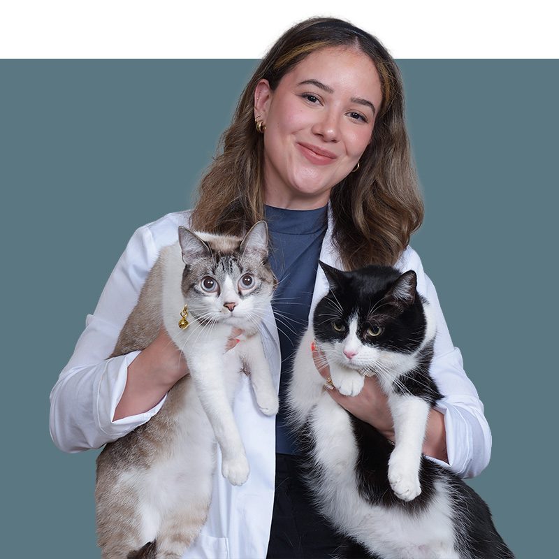 Location Doctor Image