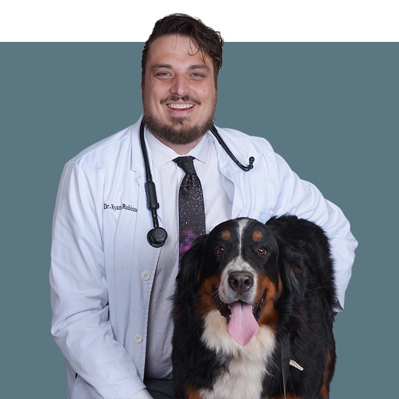 Location Doctor Image