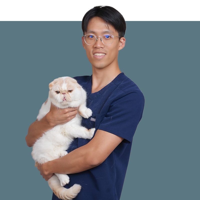 Location Doctor Image