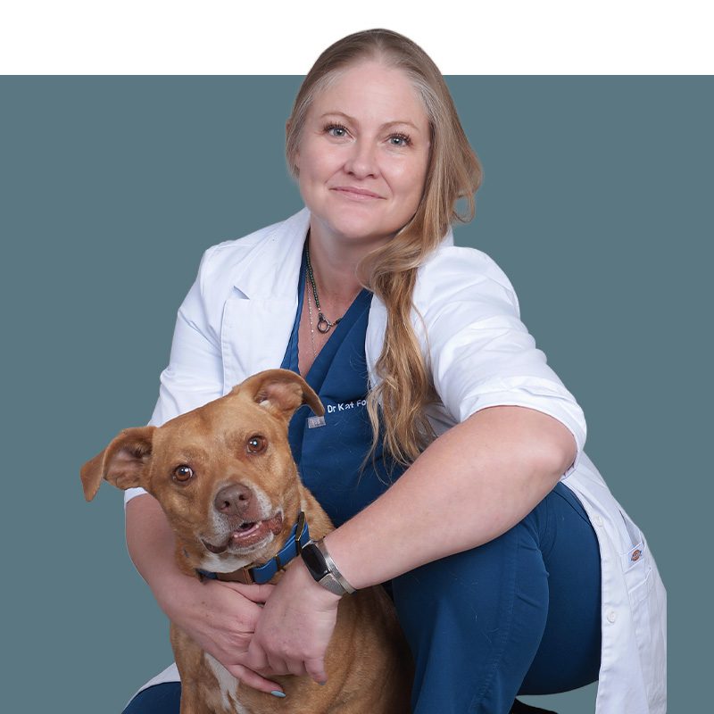 Location Doctor Image