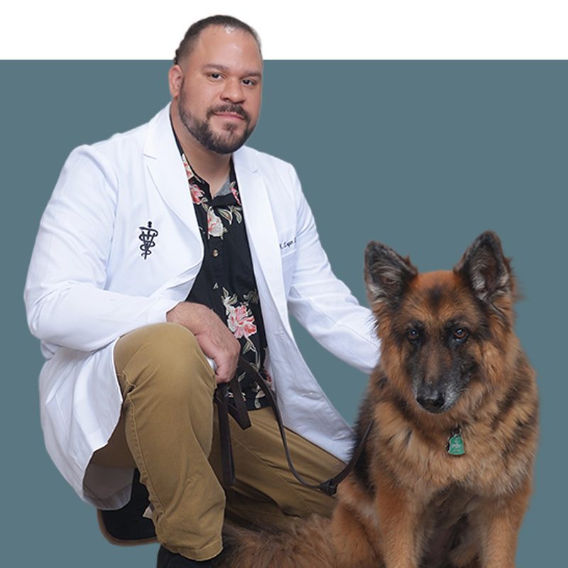 Location Doctor Image