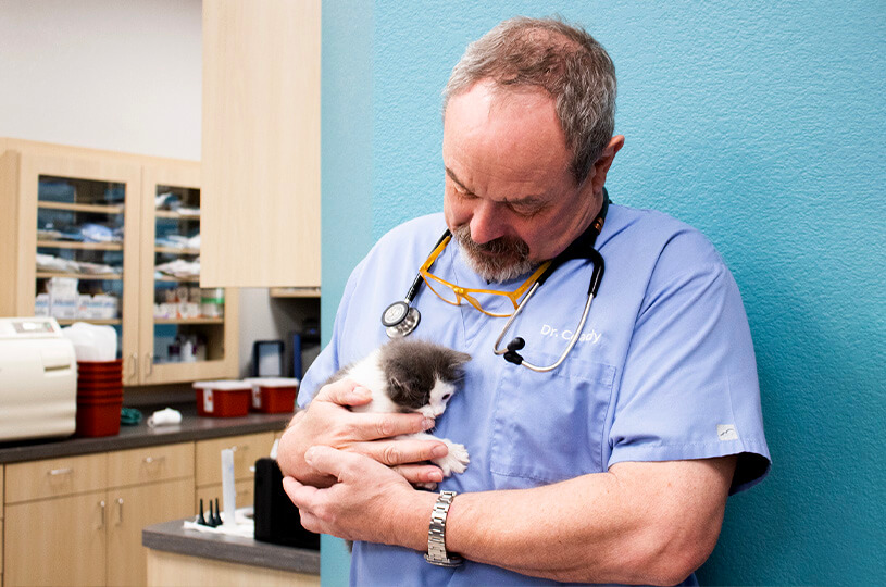 5 Signs Your Cat May Need a Vet Visit