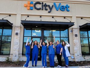 CityVet Achieves 2023 Great Place To Work Certification