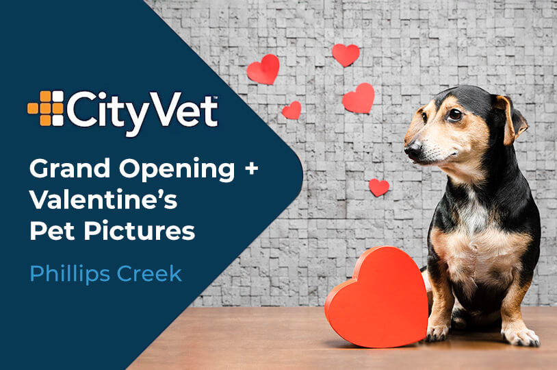 CityVet Grand Opening | Valentine's Pet Pictures!