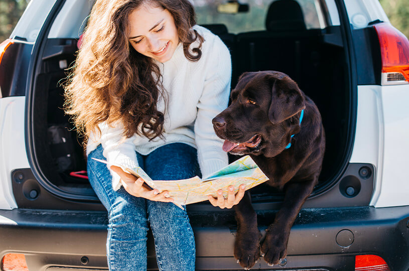 Pawsome Adventures: 4 Tips to Road Tripping with Your Dog